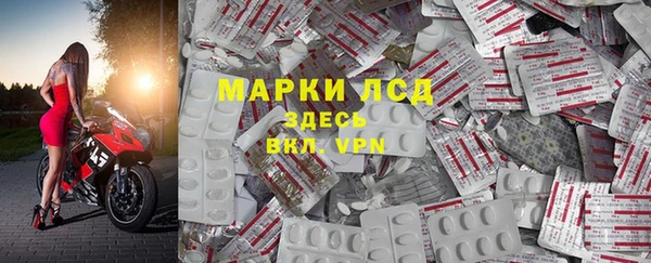стафф Дмитров