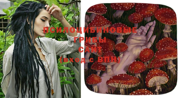 mix Гусиноозёрск