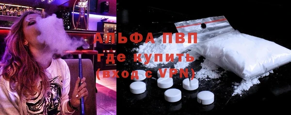 СК Гусев