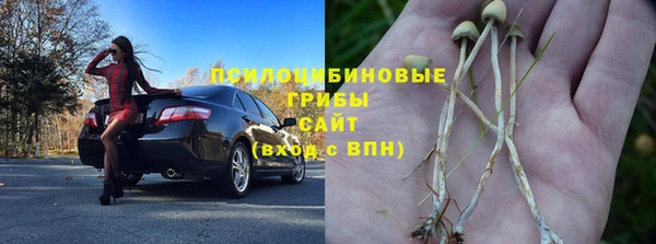 прущая мука Гусь-Хрустальный